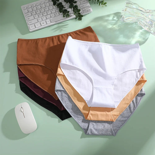 Culotte Coton Confort Absolu (Lot de 4)