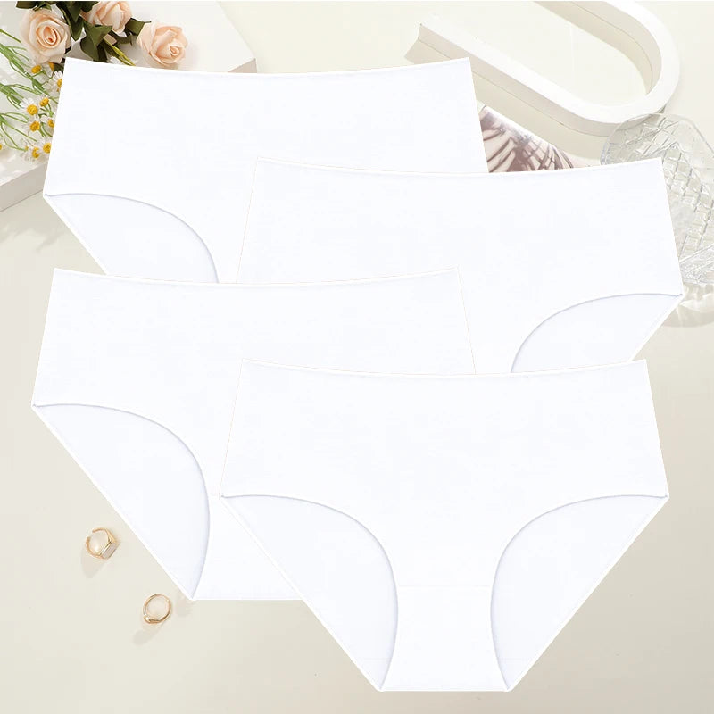 Culotte Coton Confort Absolu (Lot de 4)