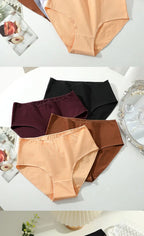 Culotte Coton Confort Absolu (Lot de 4)