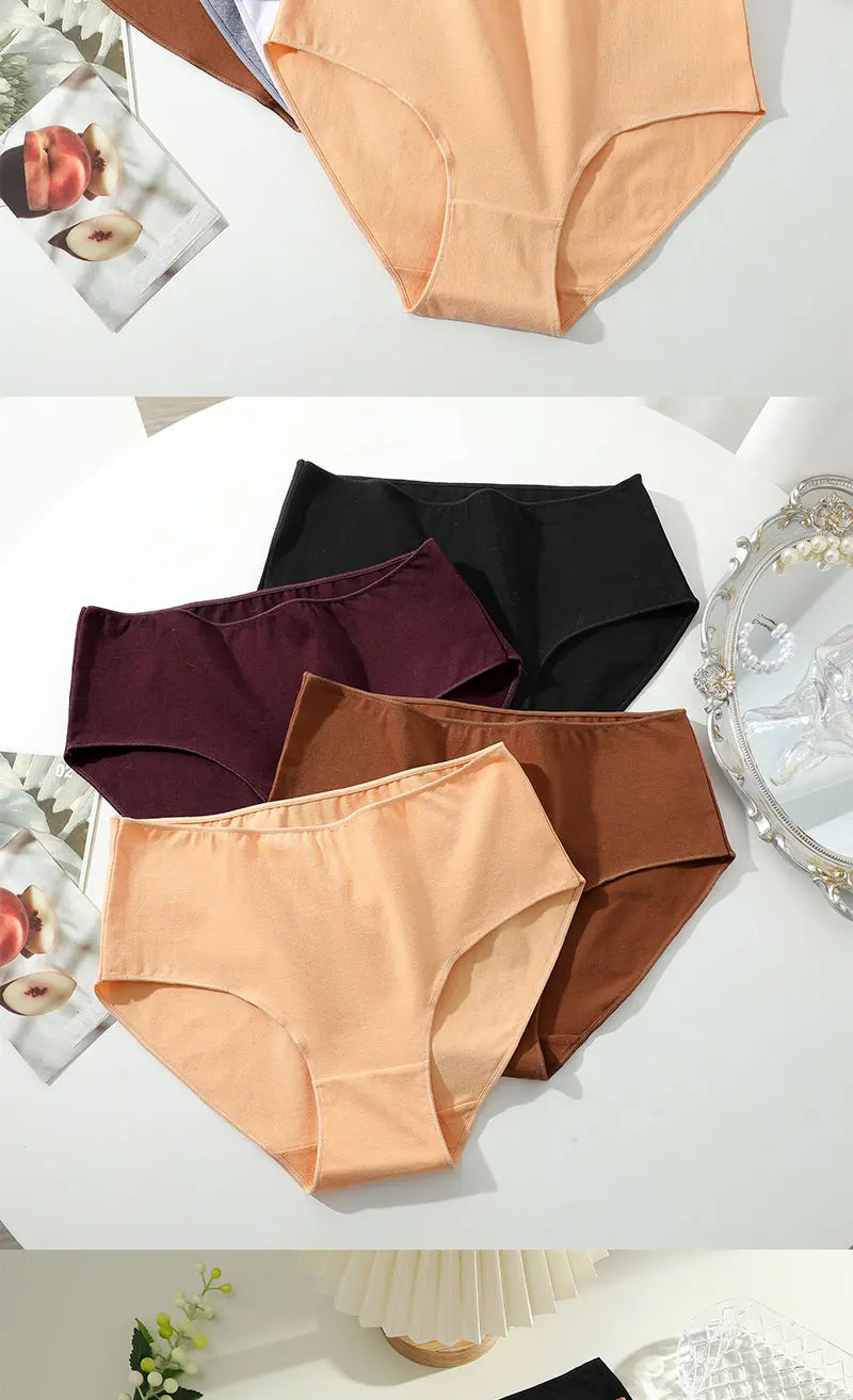 Culotte Coton Confort Absolu (Lot de 4)