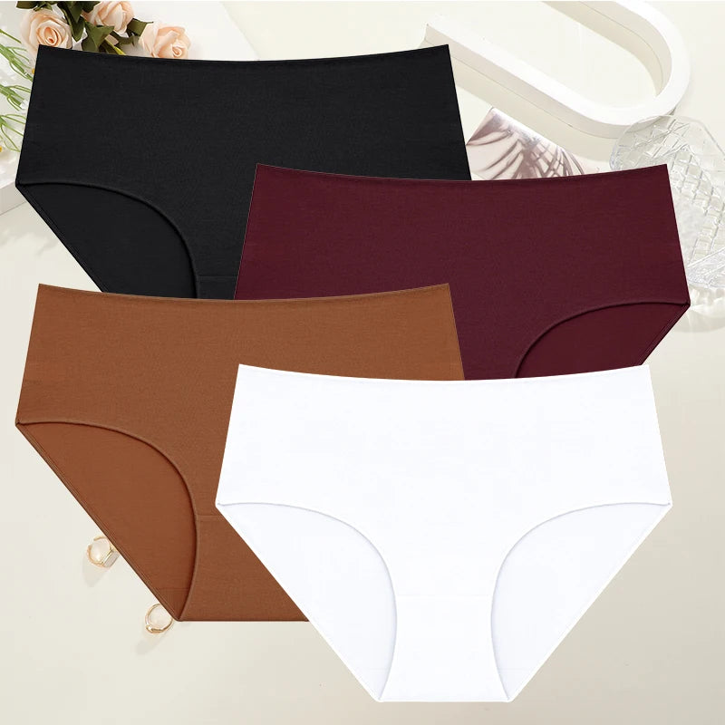 Culotte Coton Confort Absolu (Lot de 4)