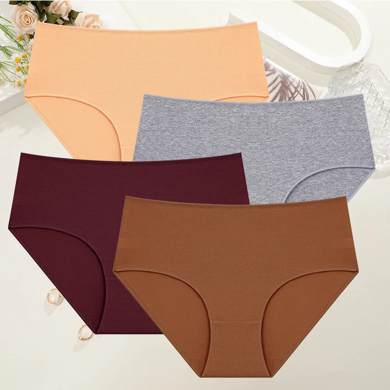 Culotte Coton Confort Absolu (Lot de 4)