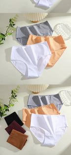 Culotte Coton Confort Absolu (Lot de 4)