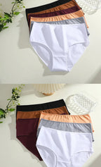 Culotte Coton Confort Absolu (Lot de 4)